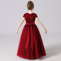 Girls Birthday Party Princess Dress For Portrait