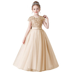 Girls Birthday Party Princess Dress For Portrait