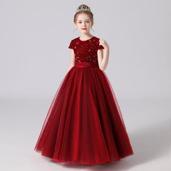 Girls Birthday Party Princess Dress For Portrait