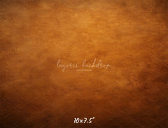 Brown Gradient Professional Portrait Backdrop - Layoris