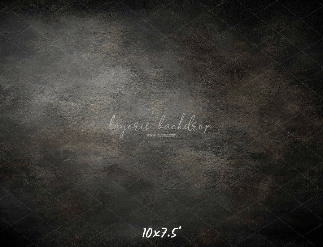 Dark Grey Misty Old Master Portrait Backdrop - Layoris