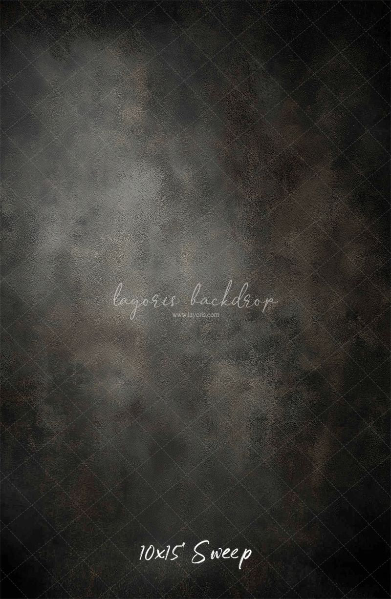 Dark Grey Misty Old Master Portrait Backdrop - Layoris