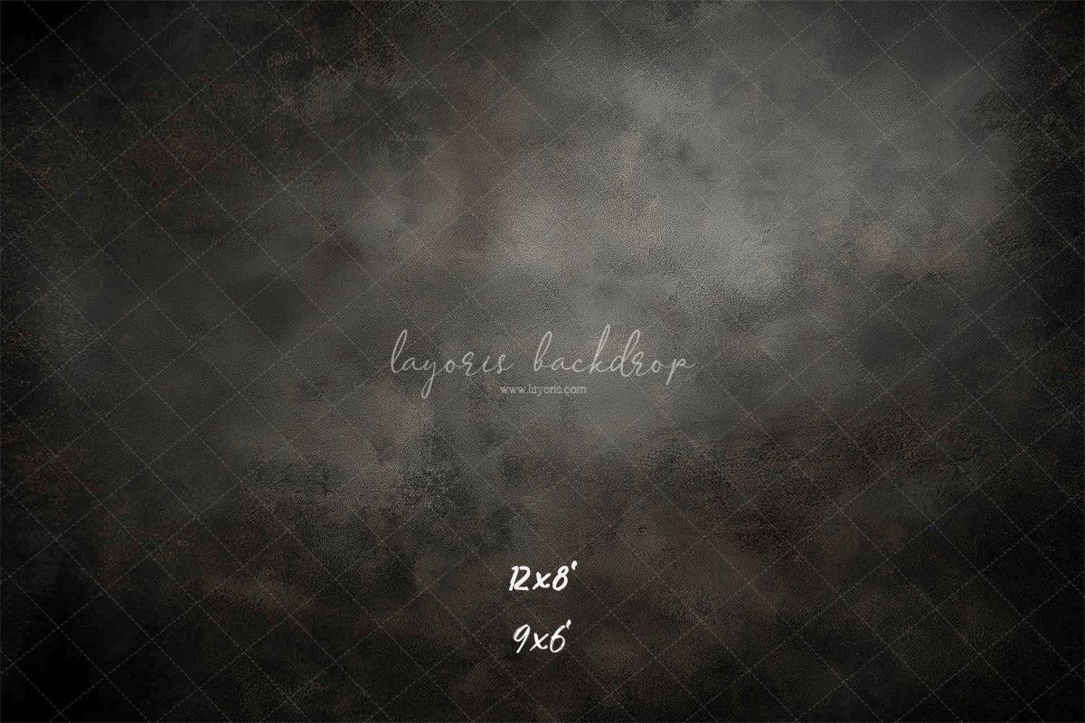 Dark Grey Misty Old Master Portrait Backdrop - Layoris
