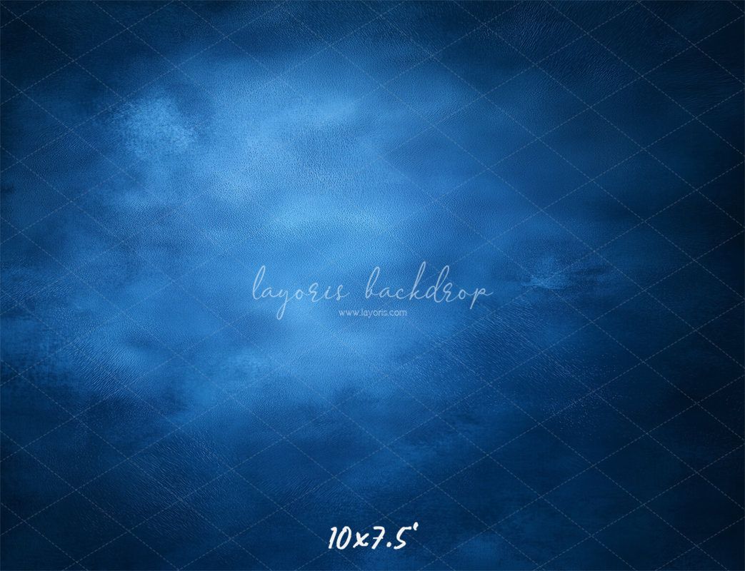 Blue Misty Vintage Old Master Portrait Backdrop - Layoris