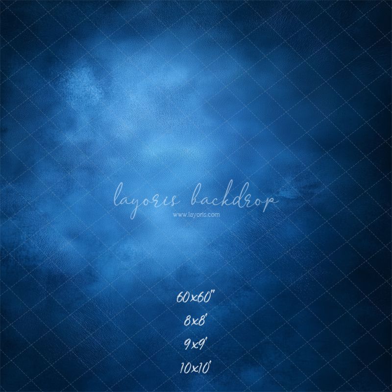 Blue Misty Vintage Old Master Portrait Backdrop - Layoris