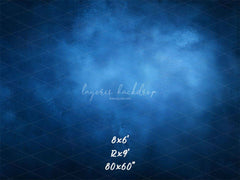 Blue Misty Vintage Old Master Portrait Backdrop - Layoris