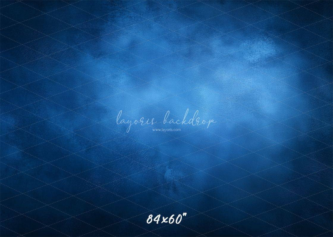 Blue Misty Vintage Old Master Portrait Backdrop - Layoris