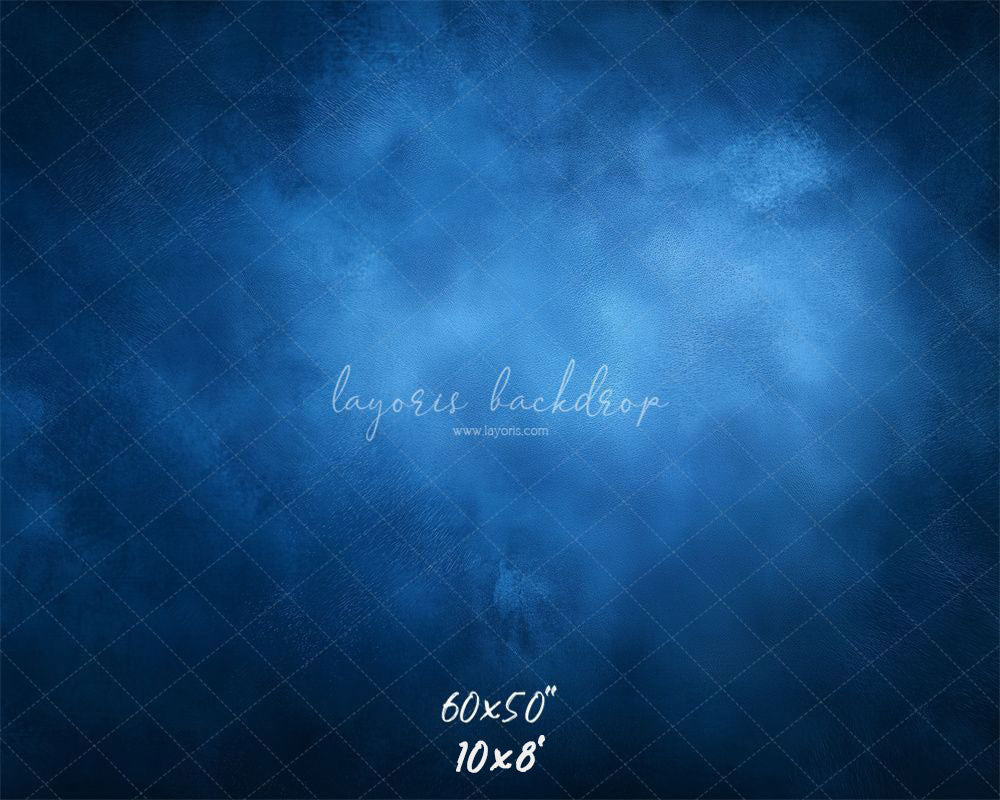 Blue Misty Vintage Old Master Portrait Backdrop - Layoris