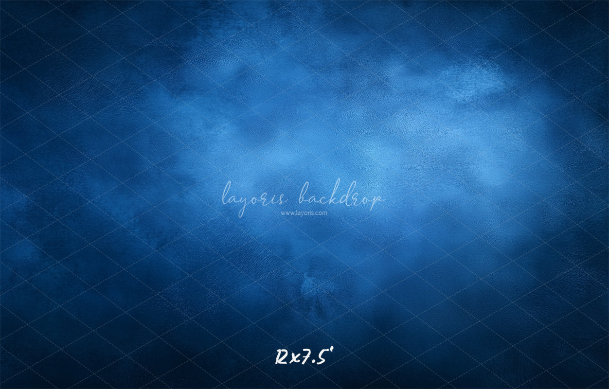 Blue Misty Vintage Old Master Portrait Backdrop - Layoris