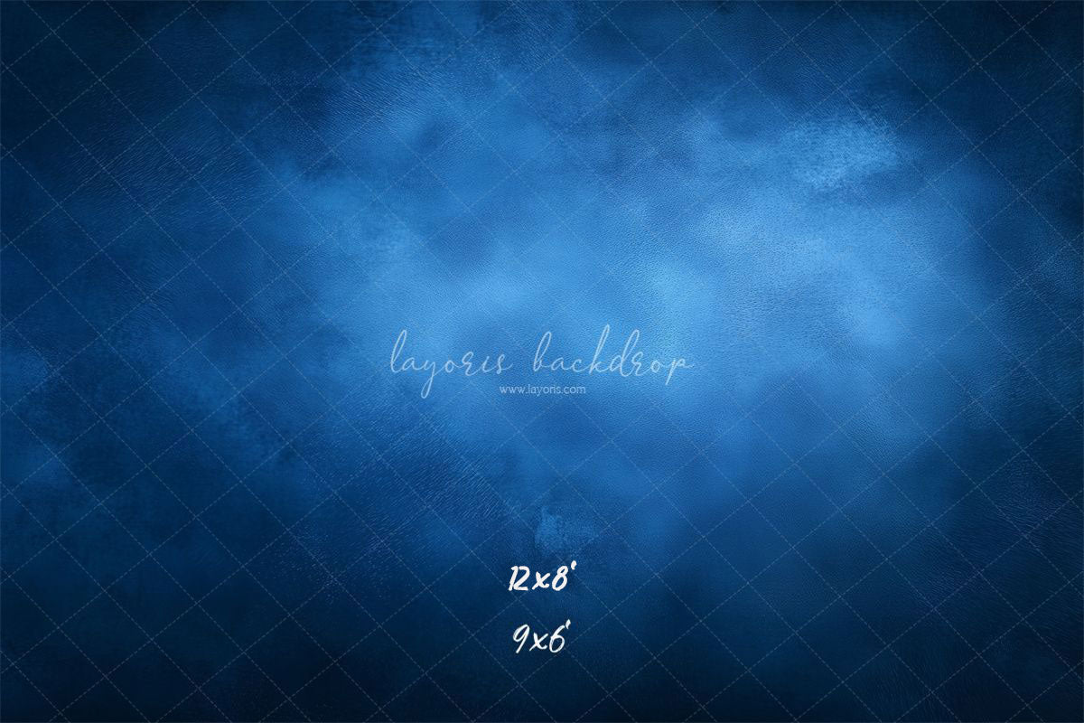 Blue Misty Vintage Old Master Portrait Backdrop - Layoris