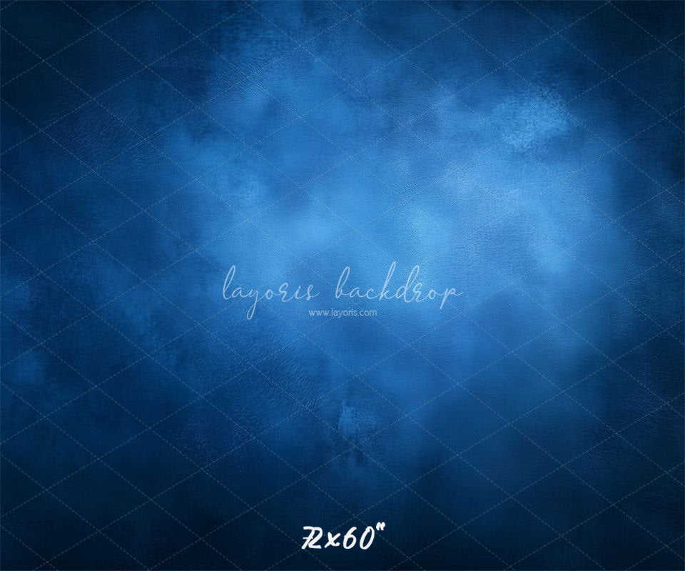 Blue Misty Vintage Old Master Portrait Backdrop - Layoris