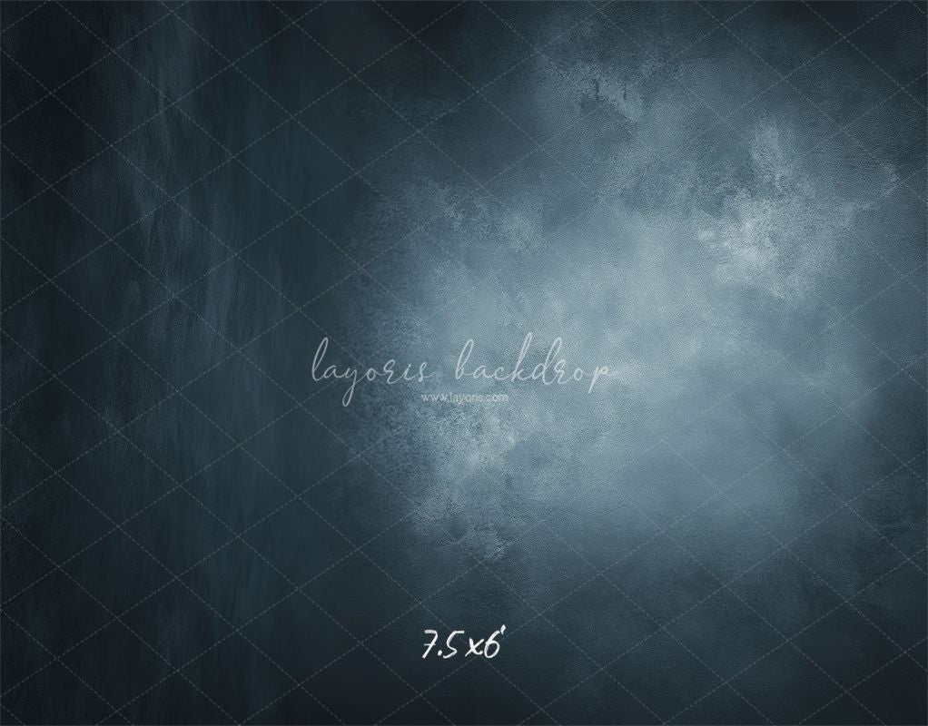 Navy Grey Misty Old Master Photography Backdrop - Layoris