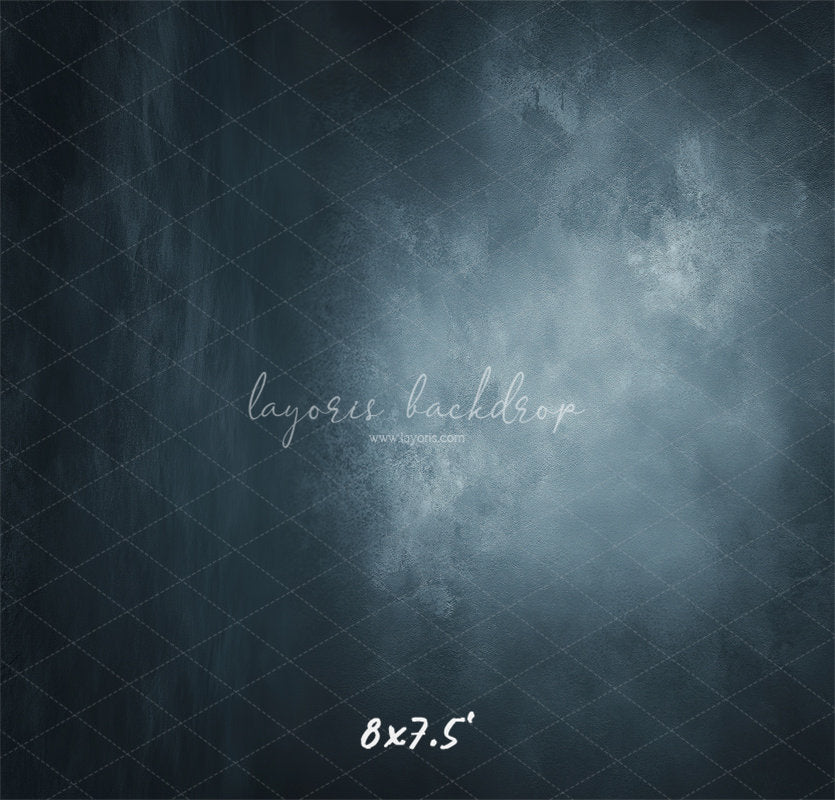 Navy Grey Misty Old Master Photography Backdrop - Layoris