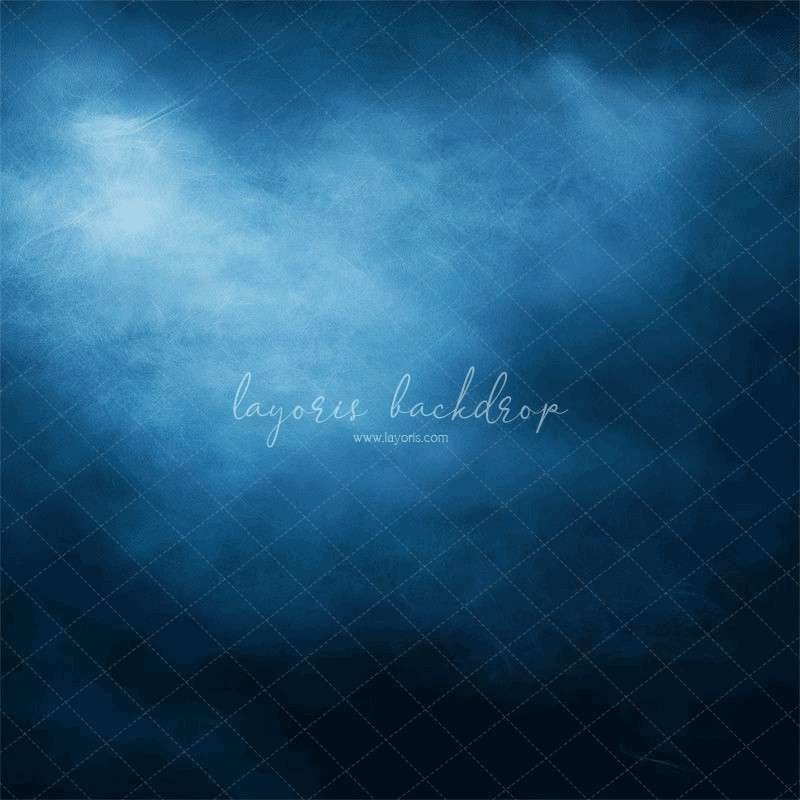 Blue Misty Old Master Photography Backdrop - Layoris