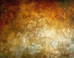 Warm Colors Rich Retro Photography Backdrop - Layoris