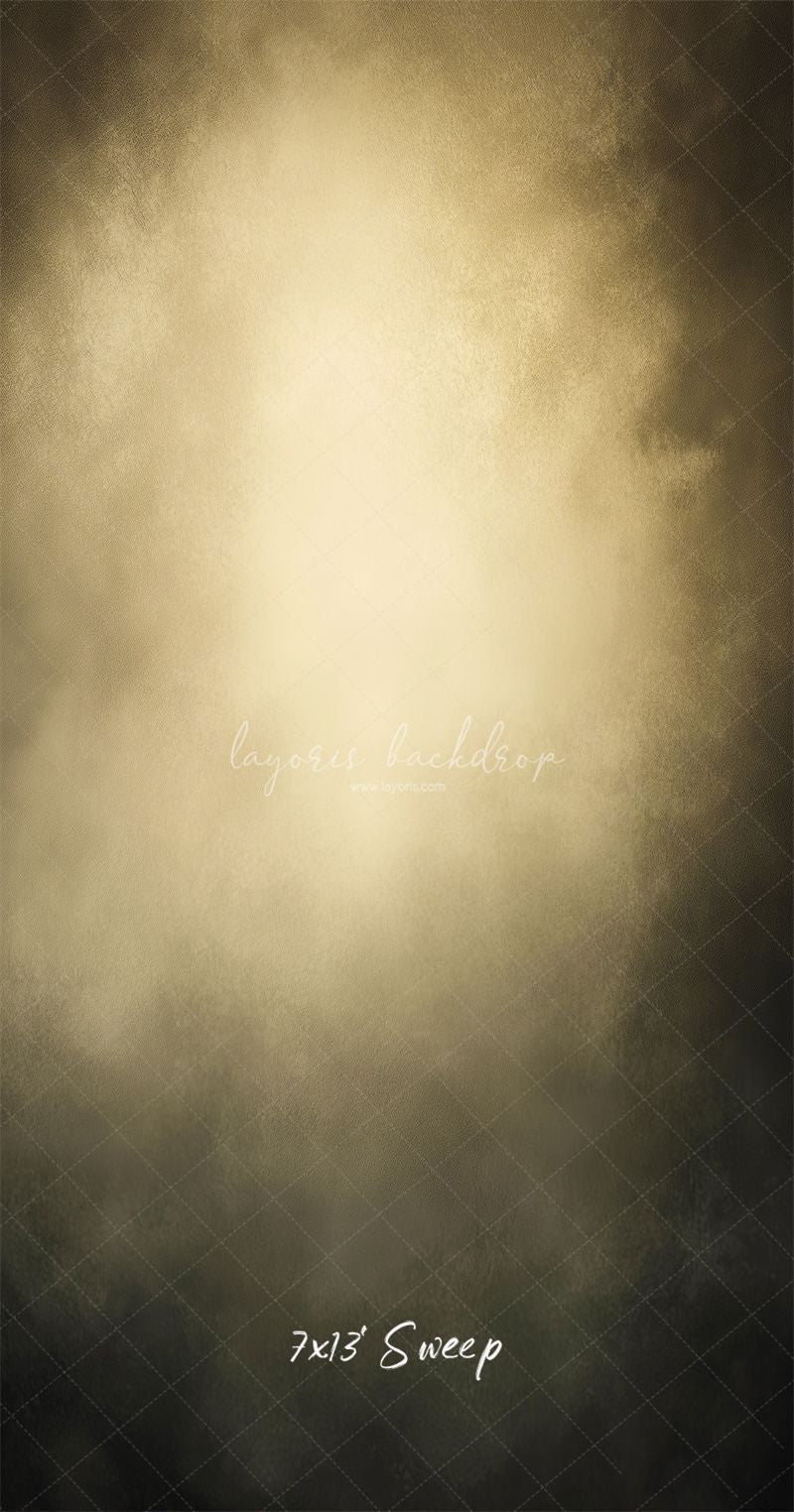 Dark Grey Surrounds Beige Old Master Backdrop - Layoris