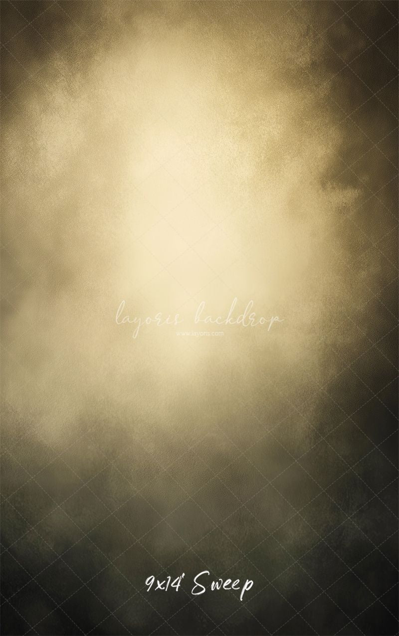 Dark Grey Surrounds Beige Old Master Backdrop - Layoris