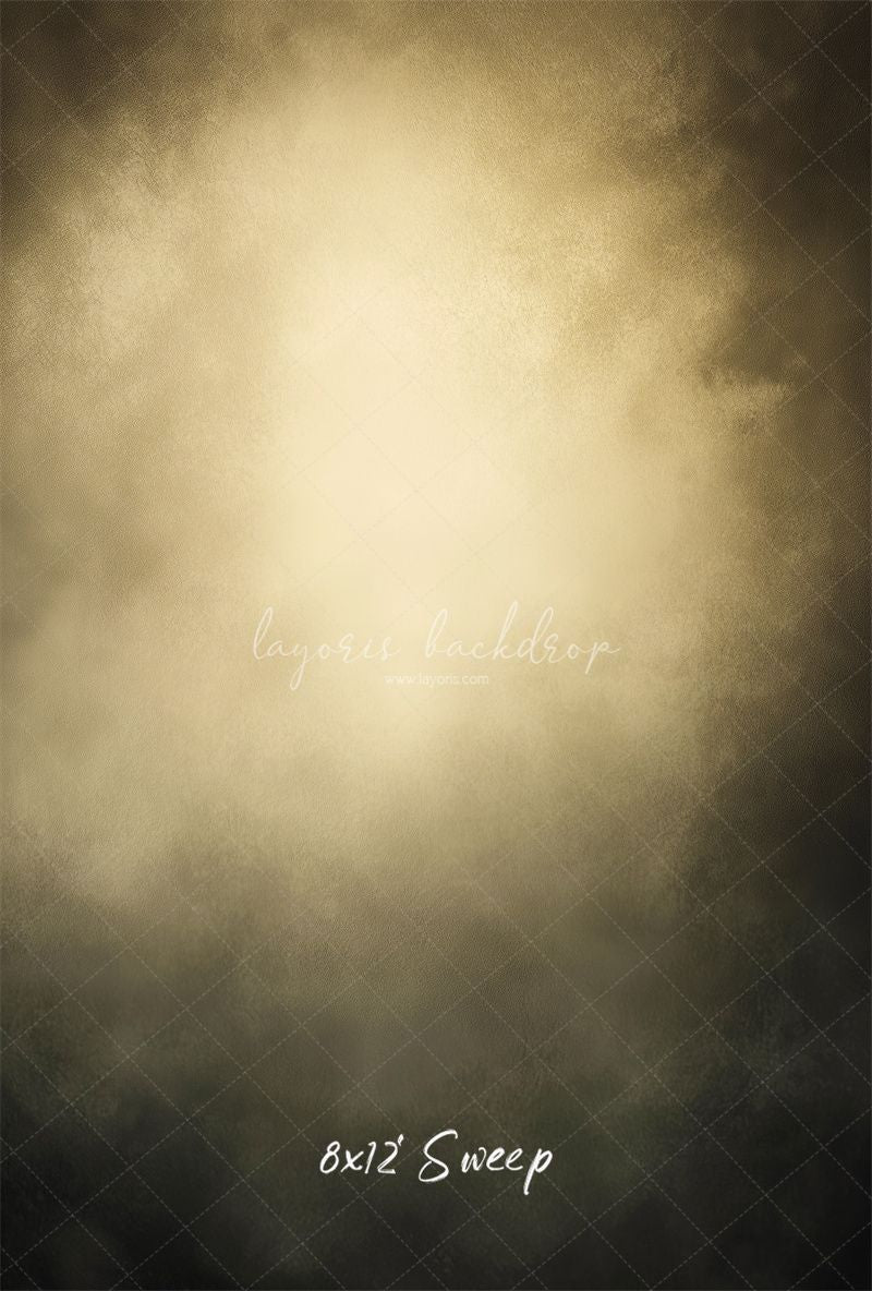 Dark Grey Surrounds Beige Old Master Backdrop - Layoris