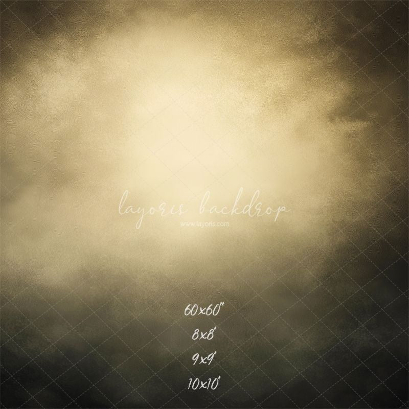 Dark Grey Surrounds Beige Old Master Backdrop - Layoris