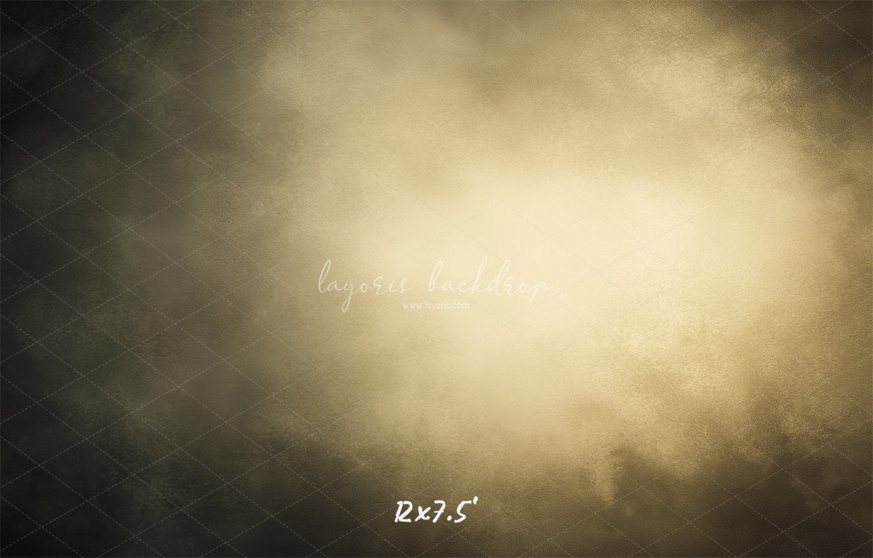 Dark Grey Surrounds Beige Old Master Backdrop - Layoris