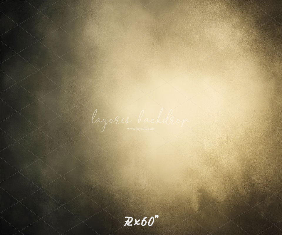 Dark Grey Surrounds Beige Old Master Backdrop - Layoris