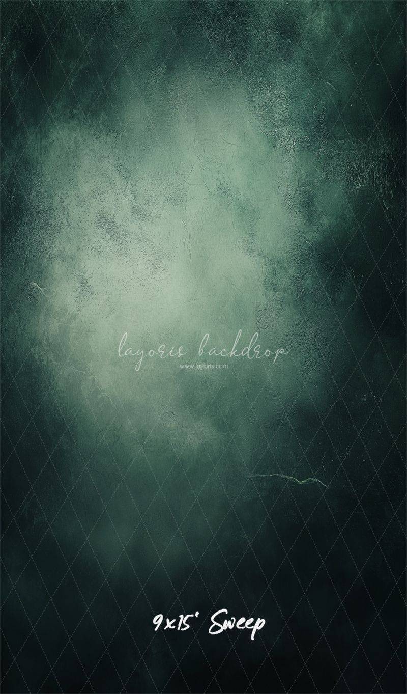 Misty Green Black Old Master Portrait Backdrop - Layoris