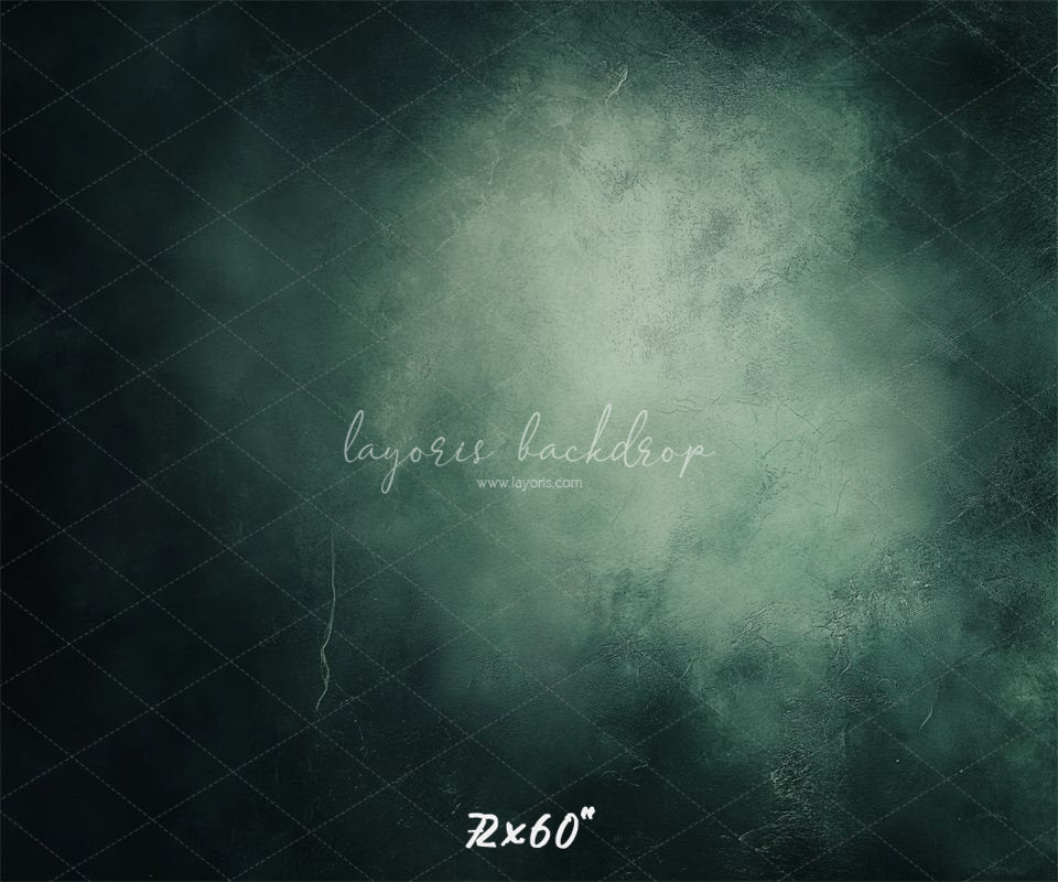 Misty Green Black Old Master Portrait Backdrop - Layoris