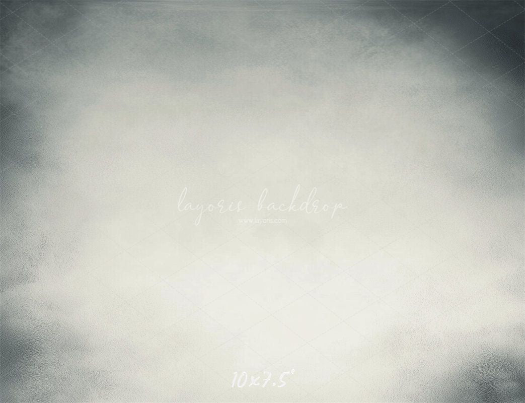 Light Grey Abstract Portrait Photography Backdrop - Layoris