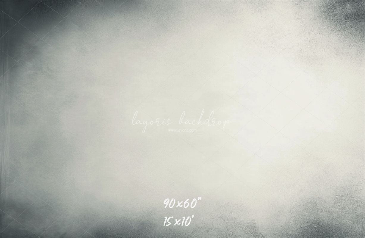 Light Grey Abstract Portrait Photography Backdrop - Layoris