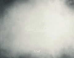 Light Grey Abstract Portrait Photography Backdrop - Layoris