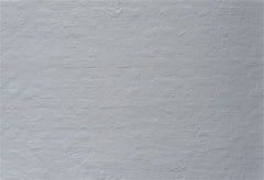 Fashion Red Brick Fabric Floor Portrait Backdrop - Layoris