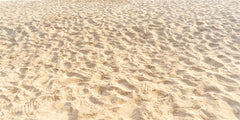 Summer Light Color Beach Floor Fabric Floor Backdrop - Layoris