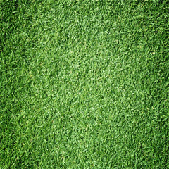 Gold Texture Cement Wall Fabric Floor Backdrop - Layoris