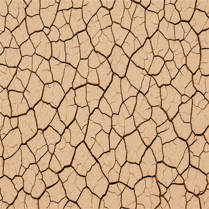 Cracked Earth Fabric Floor Backdrop - Layoris
