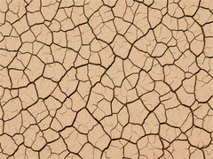 Cracked Earth Fabric Floor Backdrop - Layoris