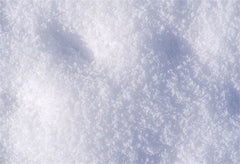Winter Tranquil Snow Fabric Floor Backdrop - Layoris