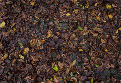 Autumn Leaves Fabric Floor Backdrop - Layoris