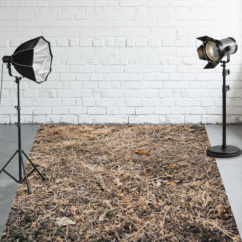 Autumn Dry Grass Fabric Floor Backdrop - Layoris