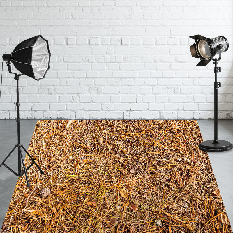 Yellow Pine Needle Floor Fabric Backdrop - Layoris