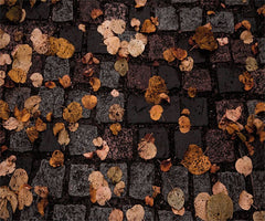 Stone Paving Fallen Leaves Fabric Floor Backdrop - Layoris