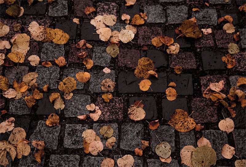 Stone Paving Fallen Leaves Fabric Floor Backdrop - Layoris