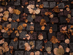 Stone Paving Fallen Leaves Fabric Floor Backdrop - Layoris