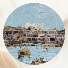 Blue Wall Brown Brick Circle Backdrop - Layoris