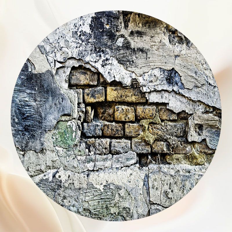 Dilapidated Rustic Wall Circle Backdrop - Layoris