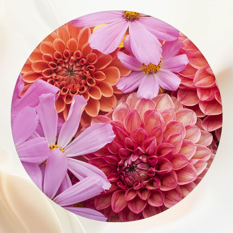 Rich Floral Woman Celebration Round Backdrop - Layoris