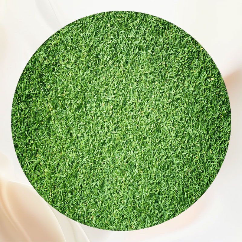 Versatile Green Grass Circle Backdrop - Layoris