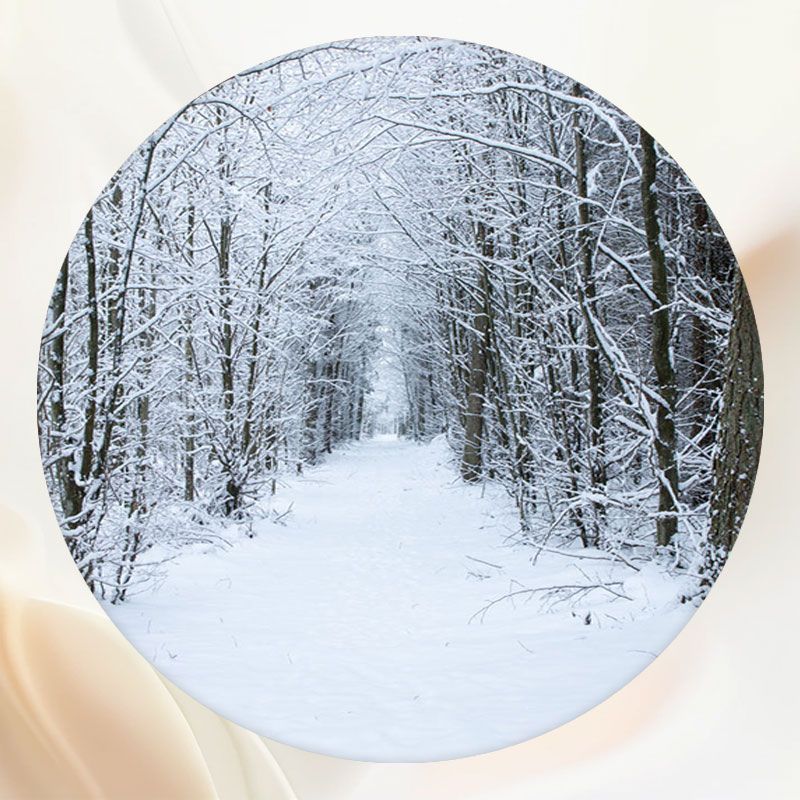 Winter Snowy Woods Snow Circle Backdrop - Layoris