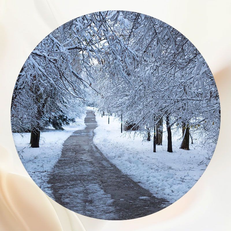 Winter Dirt Road Snow Covered Woods Round Ackdrop - Layoris
