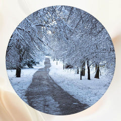 Winter Dirt Road Snow Covered Woods Round Ackdrop - Layoris