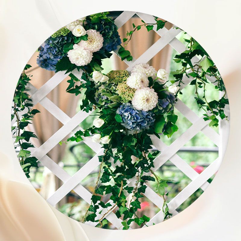 A Variety Of Flower Studio Circle Backdrop - Layoris